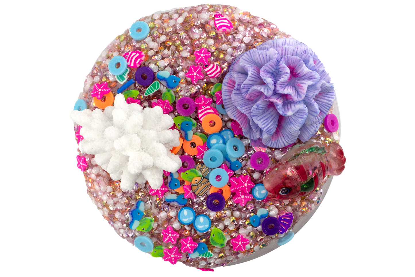 Coral Reef